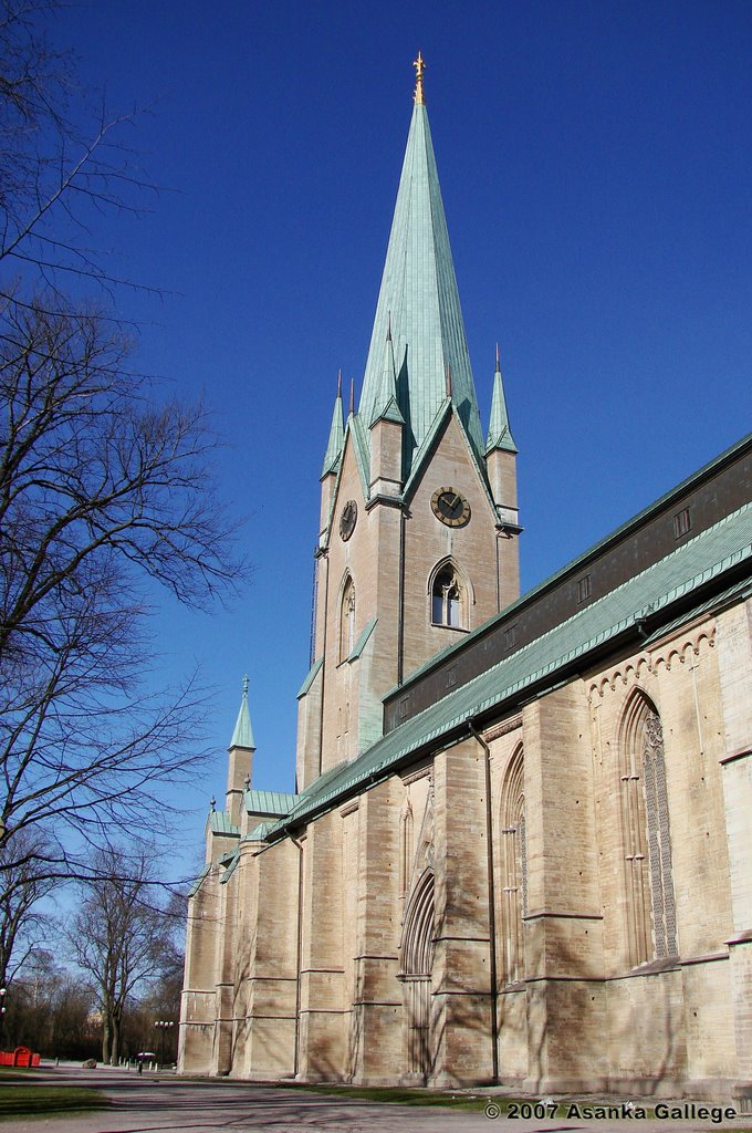 Linköping Cathedral by Asanka Gallege