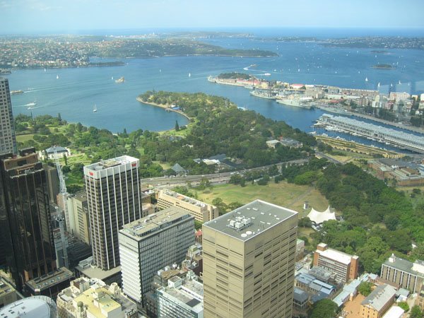 View from Sydney tower by TomMell