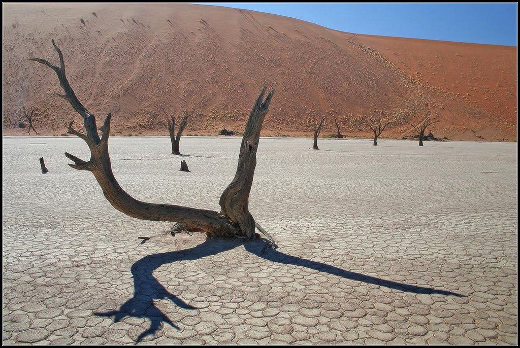 Deadvlei by Oleg Domalega