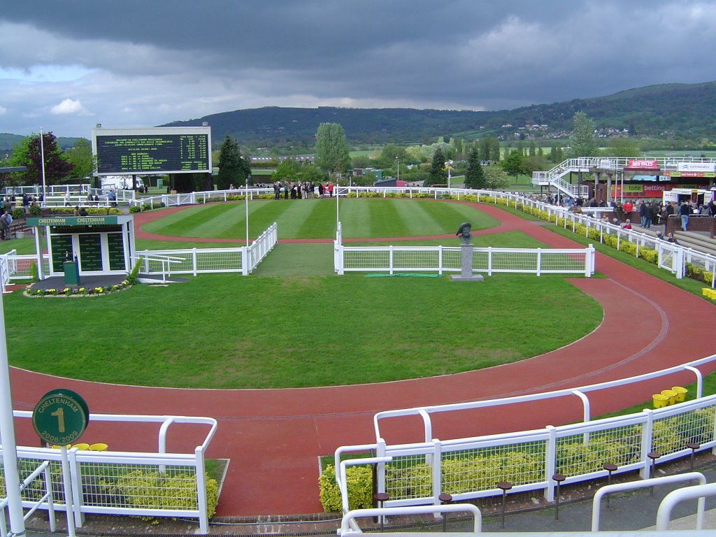 Cheltenham Winner's Enclosure by scamp