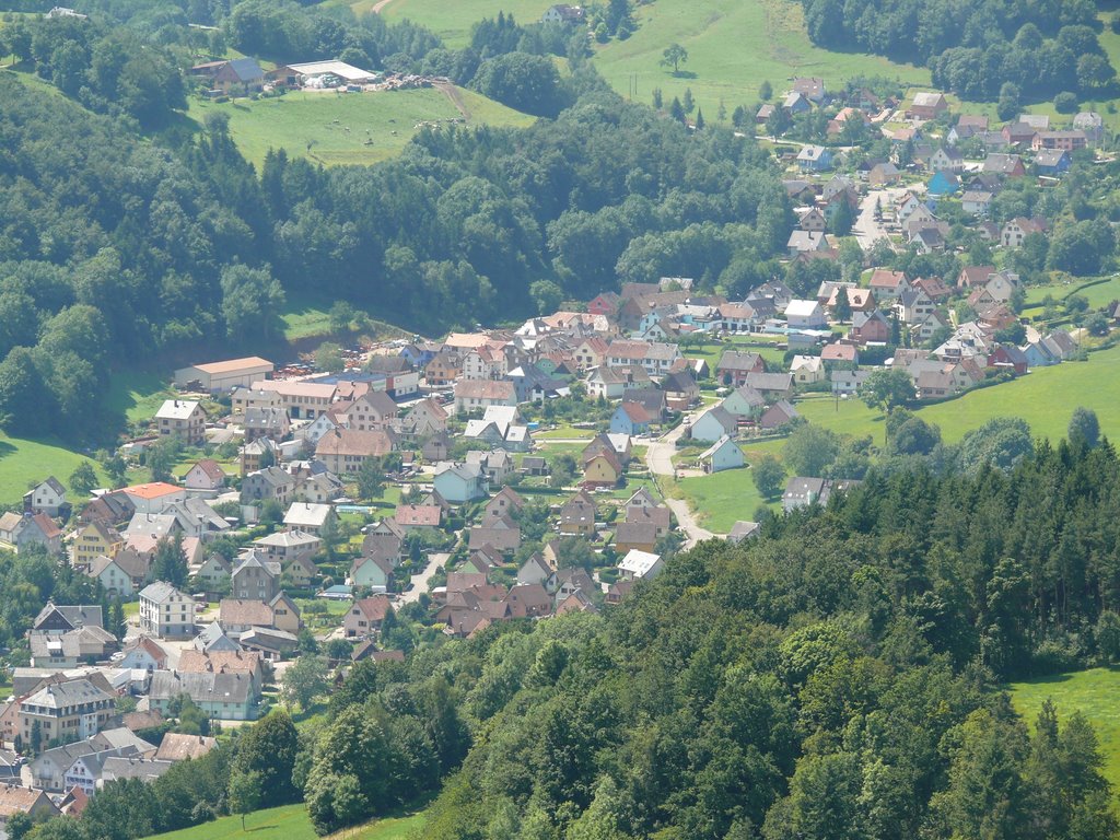 Vue sur Orbey by R Coates