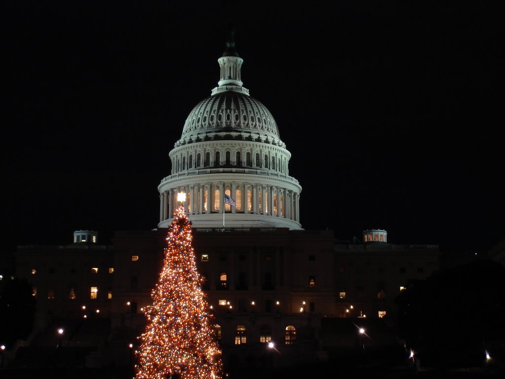 Christimas tree Capitol at night 2006 by rafaelnfernandes