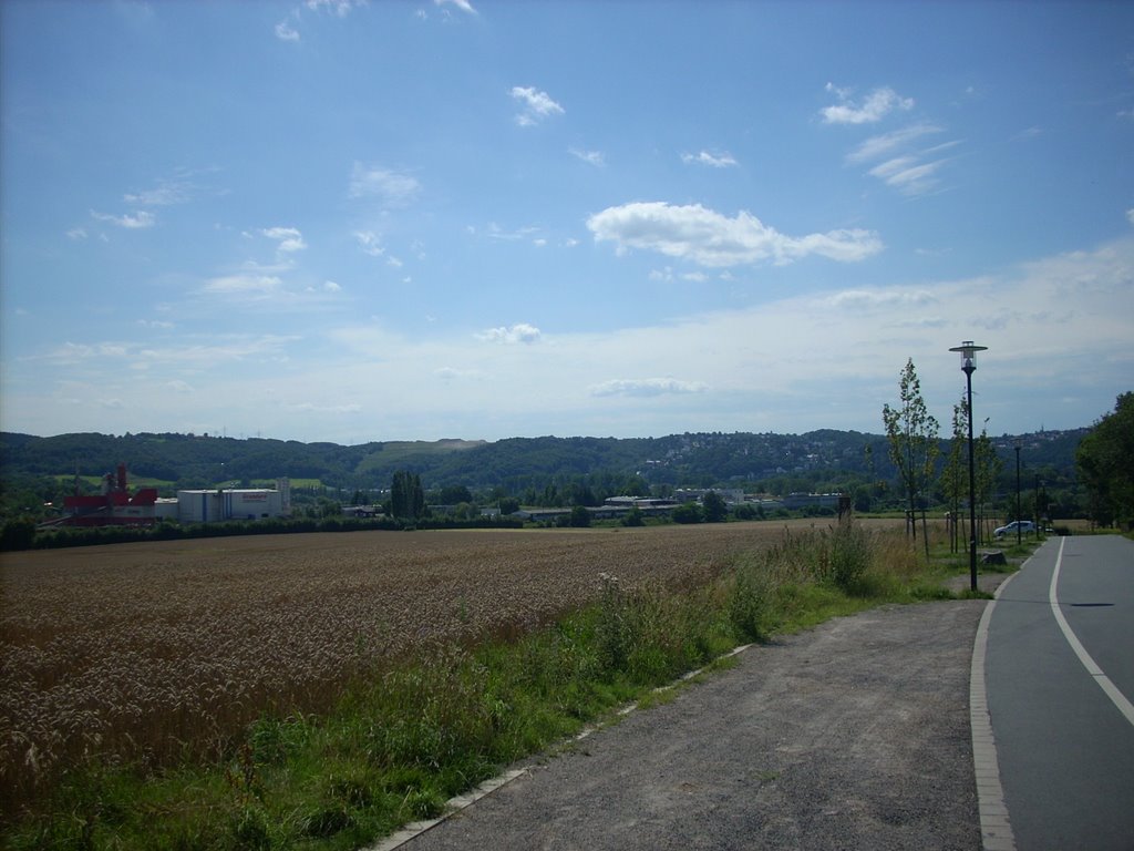 Hagen-Vorhalle BrockhauserStr. Juli 2009 by DortmundWestfalica