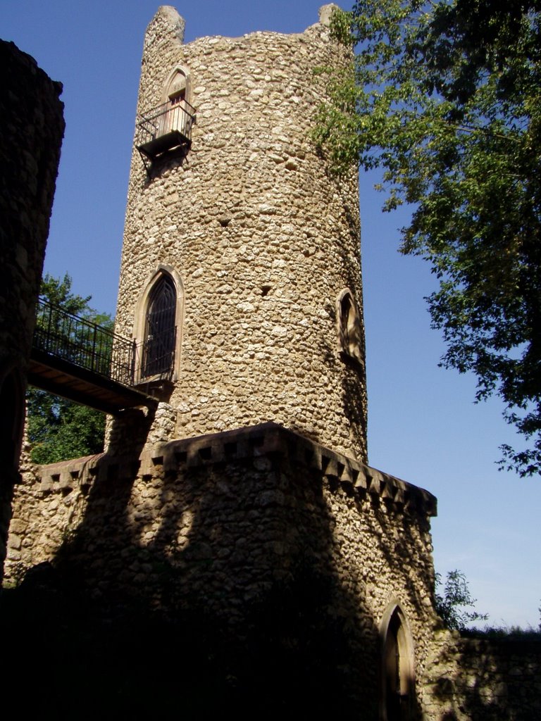 Rüsselsheim - Stadtmauer by MichelD04