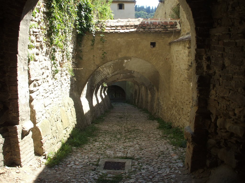 Biertan Church, Fortifications by Corneliu Anca