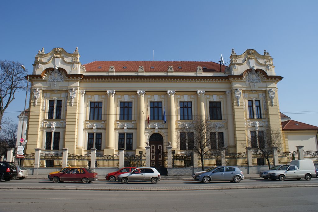 B.N.R. Palace, Timisoara by Corneliu Anca