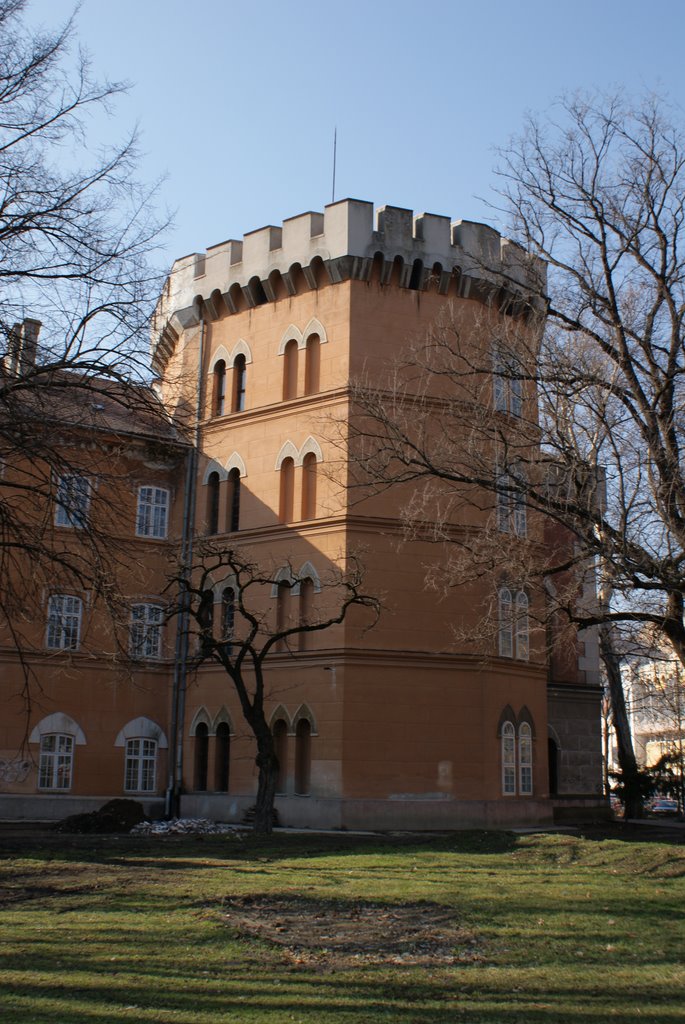 Huniade Castle, Timisoara by Corneliu Anca