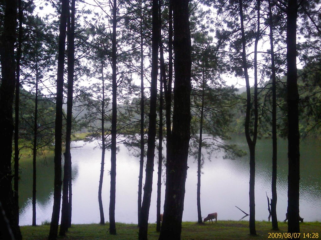 Pang-Ung Lake by saard chaichana