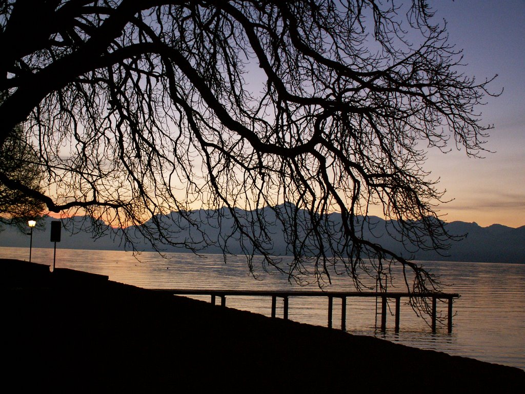 Lever de soleil sur le lac by Pierre-Alain Tardy