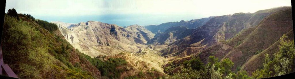 Valle alto de Benchijigua desde Mirador de Tajaque 2000-01 by wda