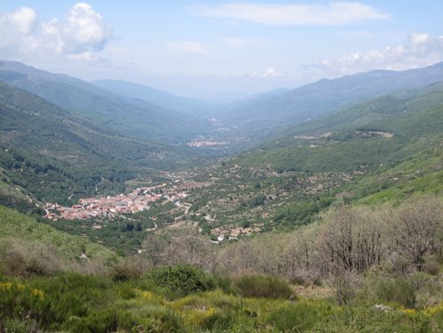 Valle del Jerte by La Luna de Aceituna