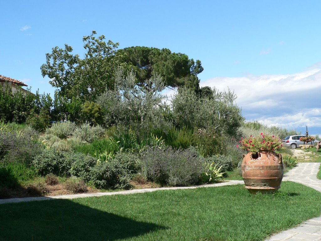 Il Prugnolo, der Garten by Jochen W.