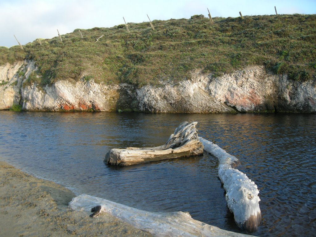 Driftwood logs behind Kehoe Beach - June 2009 by MaxFarrar