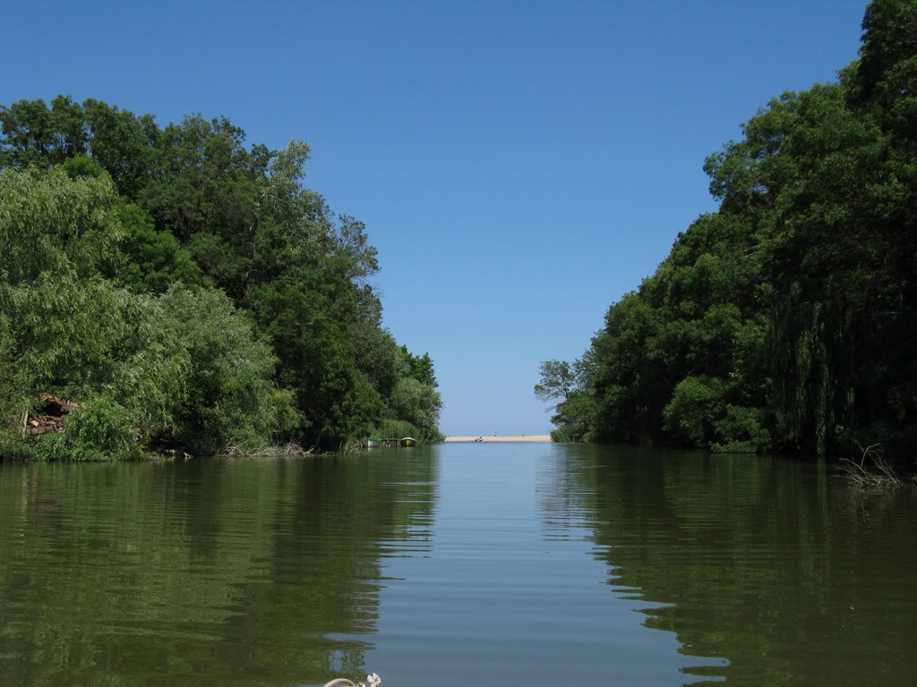 River Kamchia, Bulgaria by jane.f