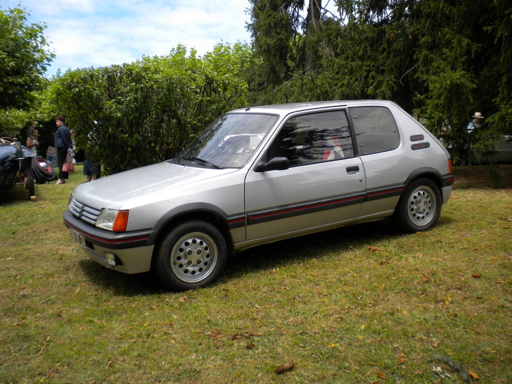 Peugeot 205 GTI by jorecacars