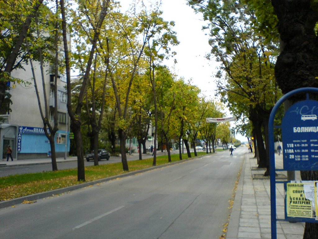 Streets of Varna by Yasen Shinev