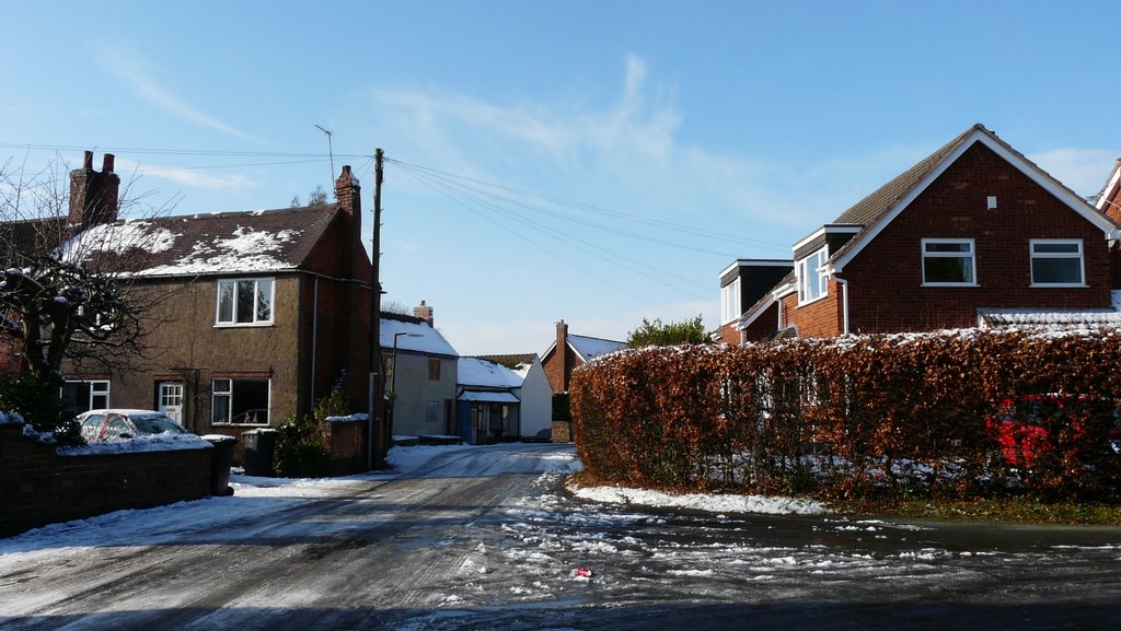 Frog Lane by St Remi