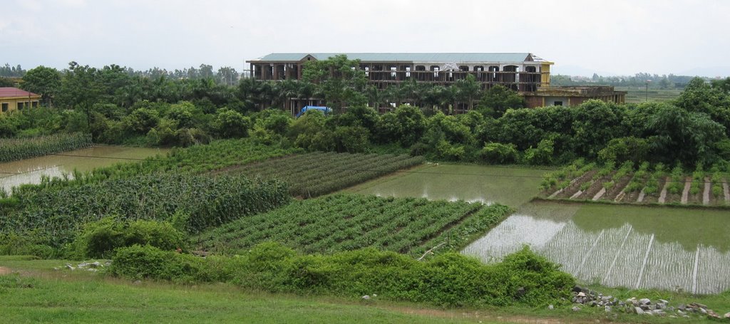 Near Hanoi green landscape 2009 by Peter Nagel