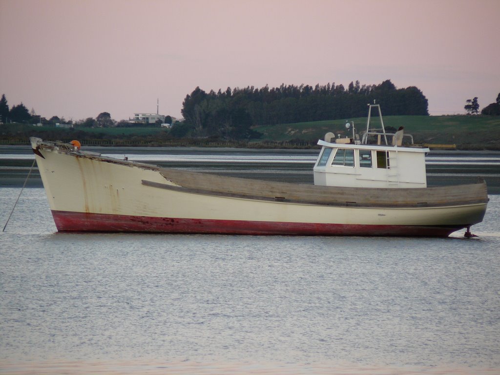 Tauranga Harbour by Chris Mabey