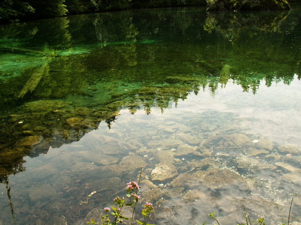 Zugspitze reflecting in clear water of Baidersee by Birgit F.