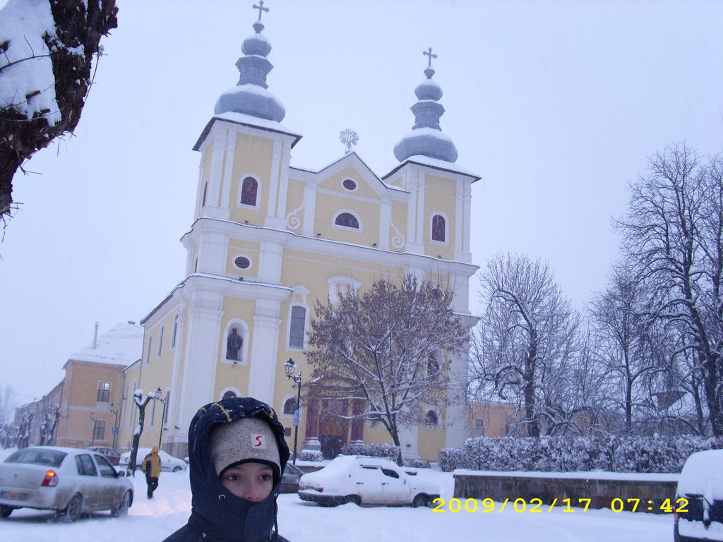 Catedrala romano-catolica Baia Mare by Daciana