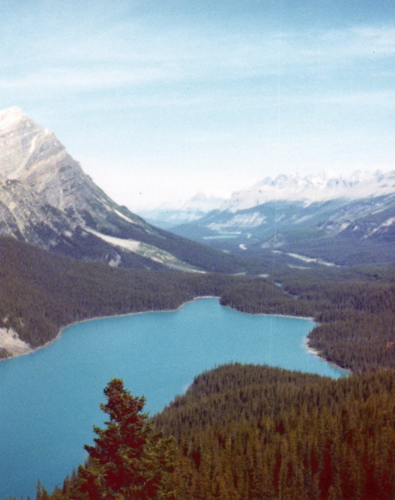 Peyto Lake by Anne Wiese