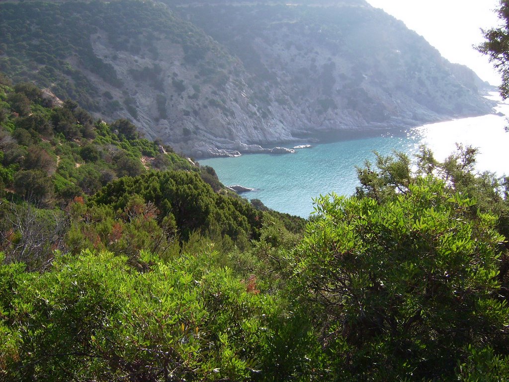 Capo boi al mattino by Sarduseu Sutidu