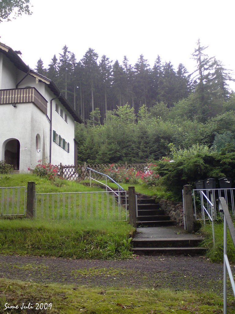 Treppenaufgang zu einem Haus am Waldrand in Tabarz by opaho1