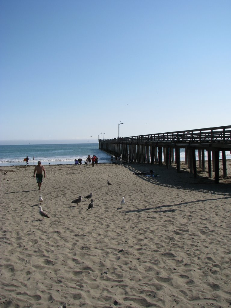 Cayucos Pier by J Valeriano