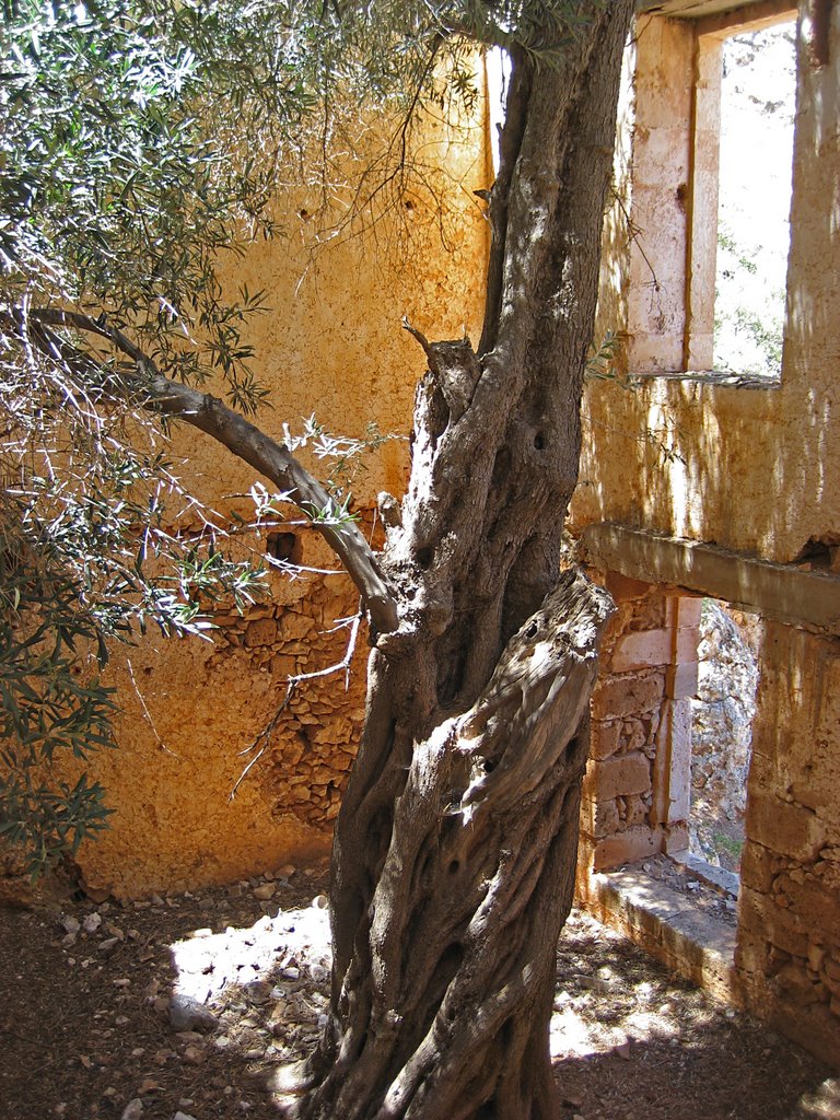 Katholikou monastery (abandoned) - Μονή Καθολικού ή Άγ. Ιωάννη του Ερημίτη (εγκαταλελειμένη) by Phaethon