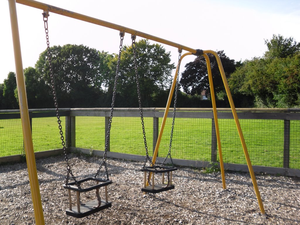 Toddler Swings in the Park by pano43