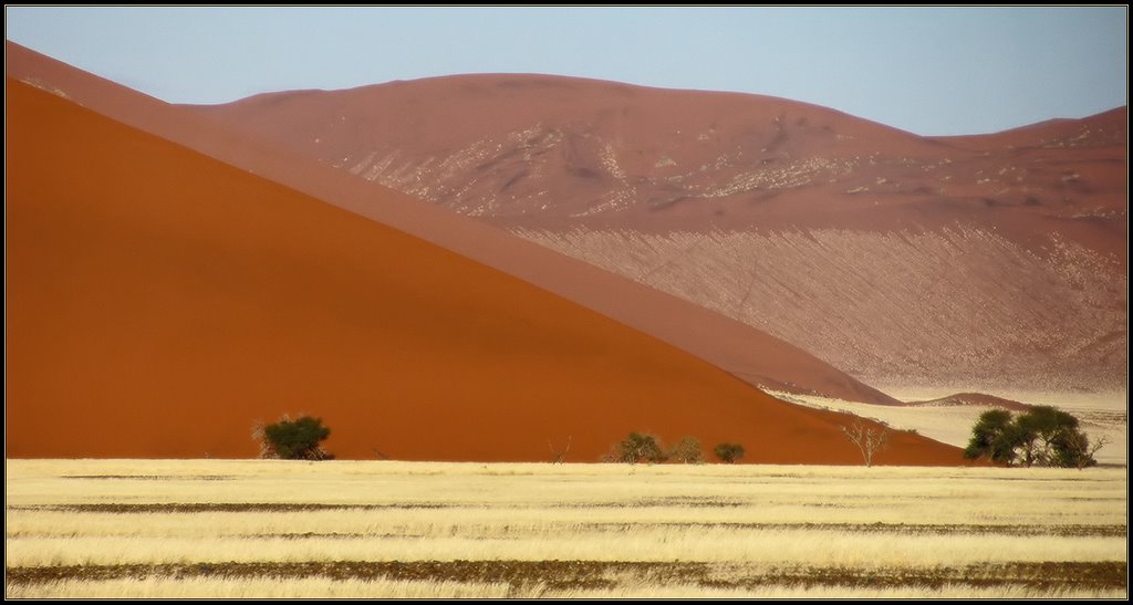 Sossusvlei Dunes by Oleg Domalega