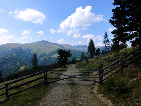 Hochrindl 2009- Nähe Zirbenhütte by Marek1969