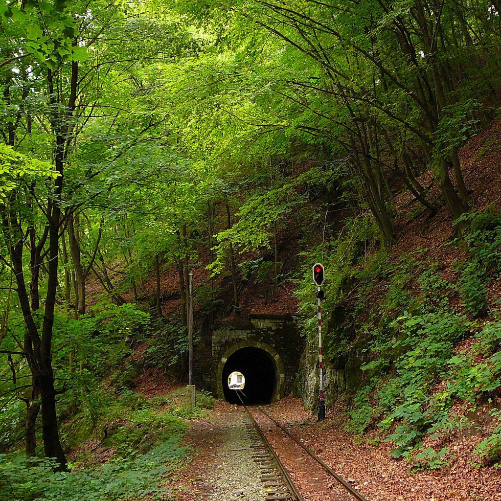 A lillafüredi kisvasút 5. (Bükk Mountains, narrow-gauge railway near Lillafüred) by Imre Éri (ériimi)