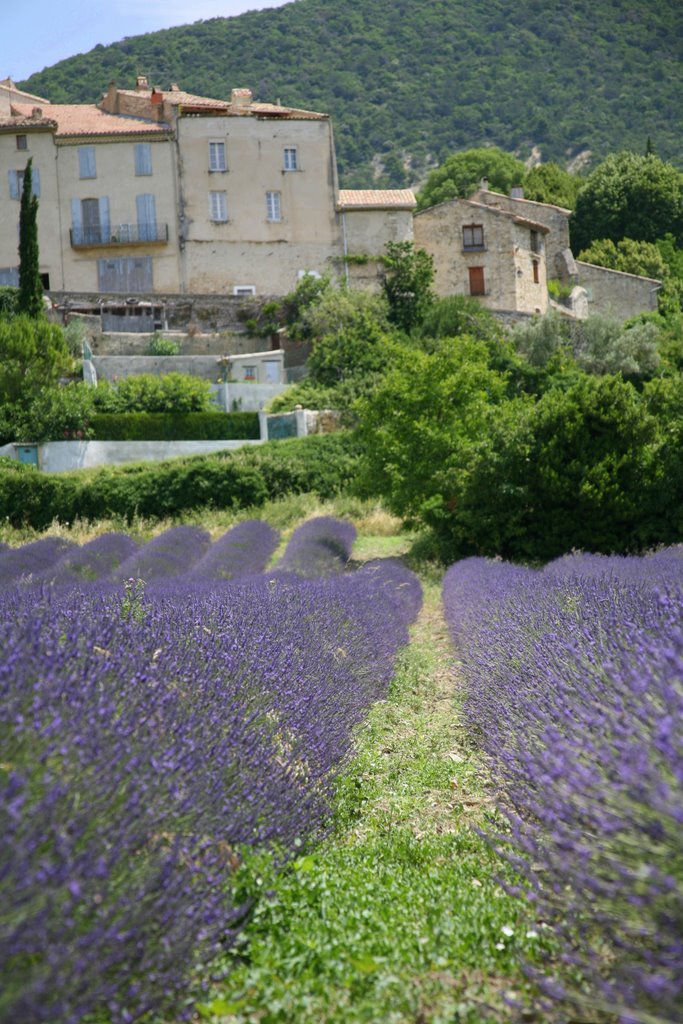 Venterol, Drôme, Rhône-Alpes, France by Hans Sterkendries