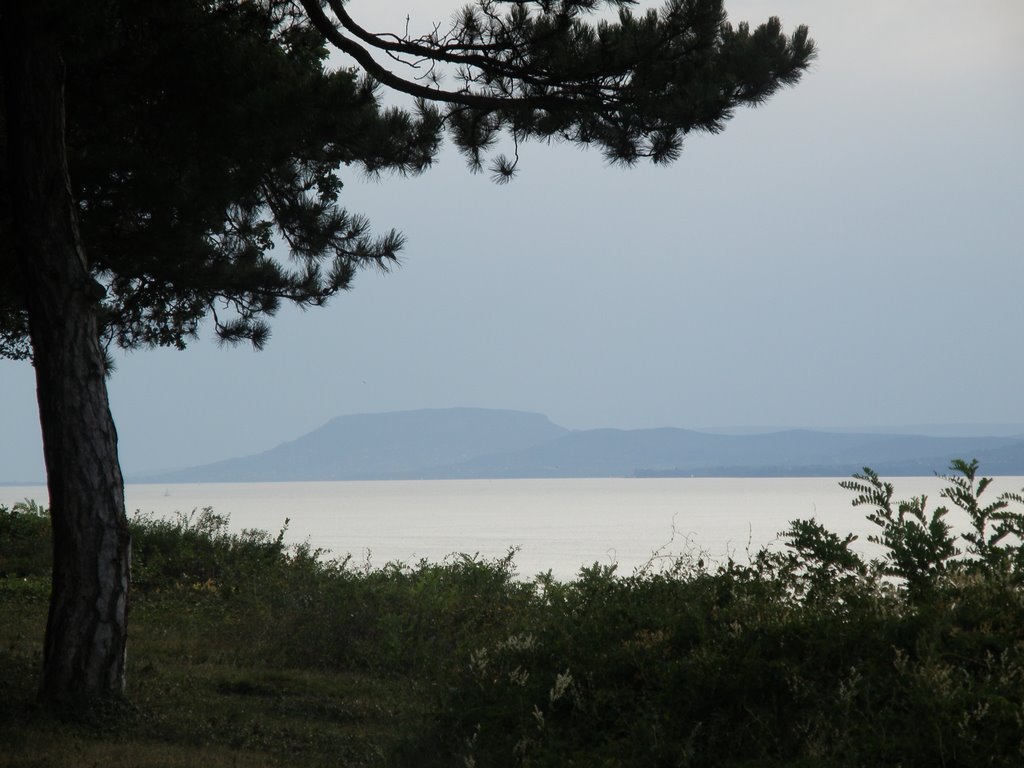 Balatonföldvár by vacsad