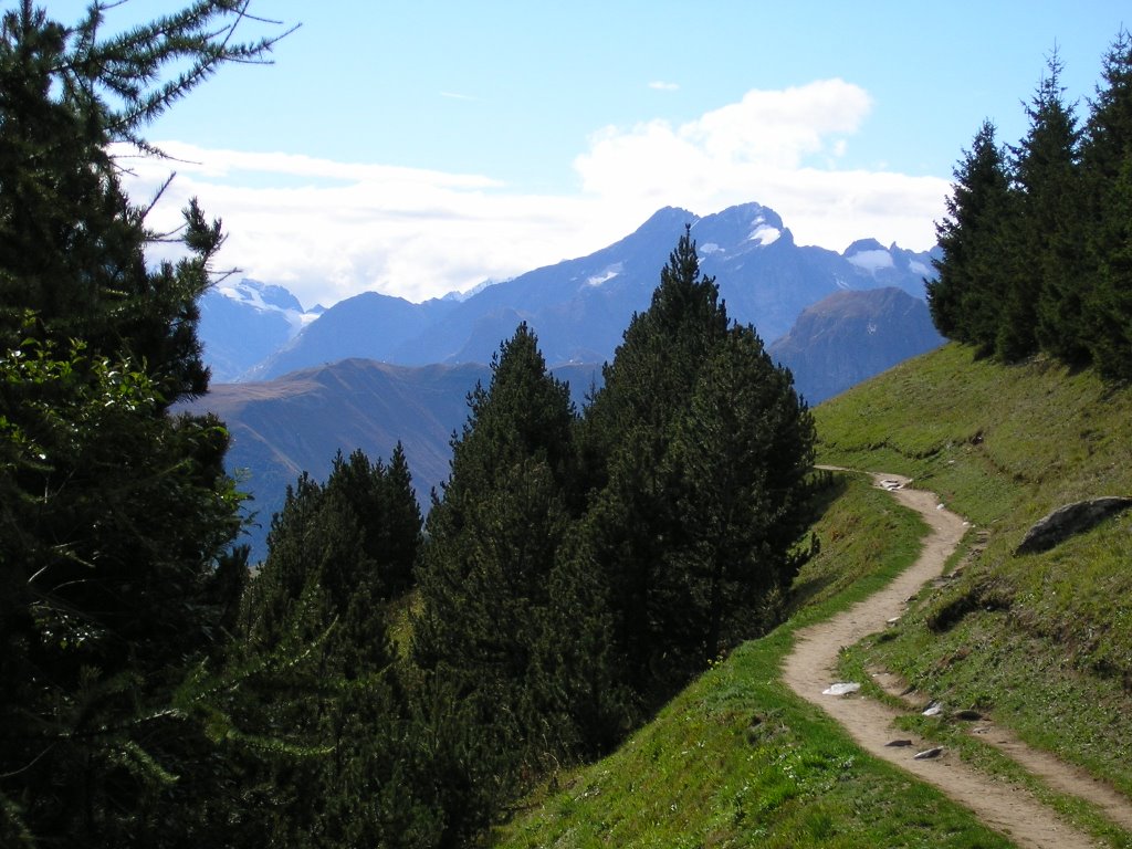 Hauteurs de l'Alpe d'Huez by Jérôme Pinard