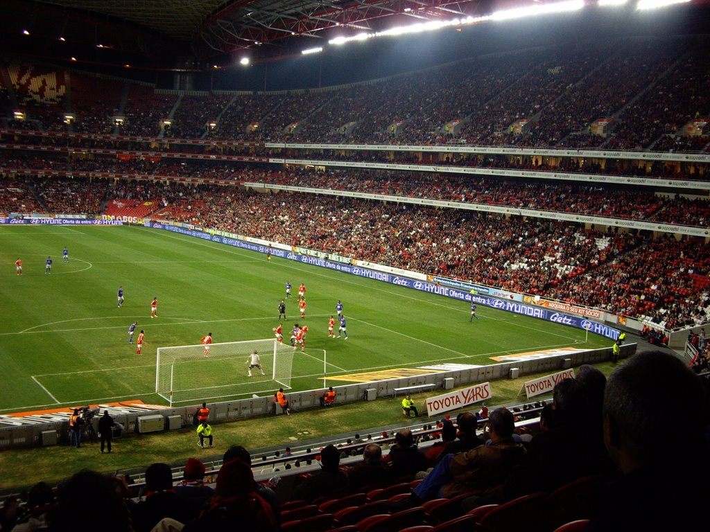 Estádio da Luz (Benfica - Chelsea) by jorgemmartins