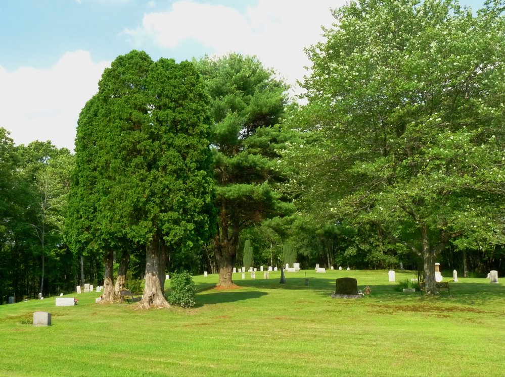 Helen Furnace Cemetery by tdistefano