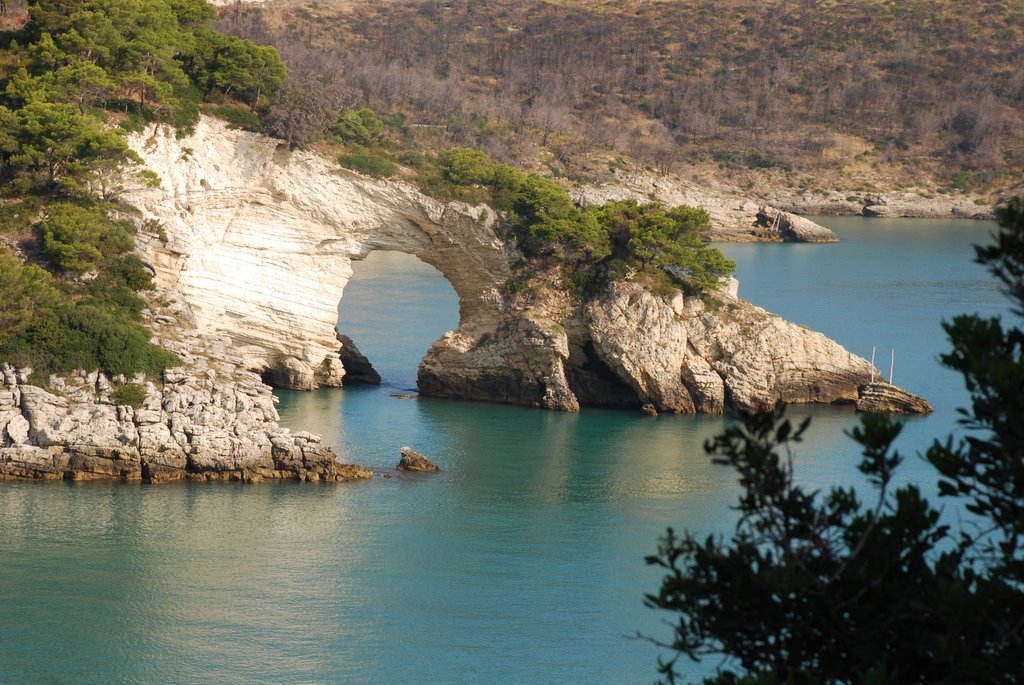 Vieste: arco naturale by Fabrizio Reale