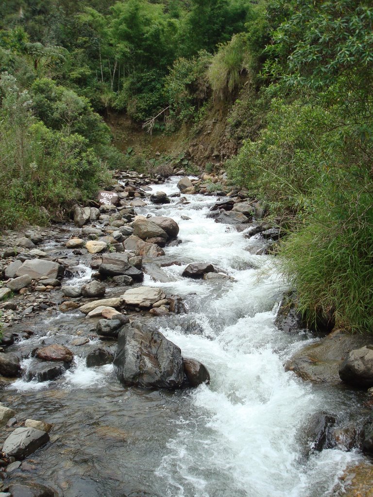 Cerca de la cascada El Manto de la Novia by Francisco Campo