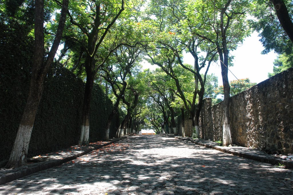 CALLE CHINGONA by jkxj71