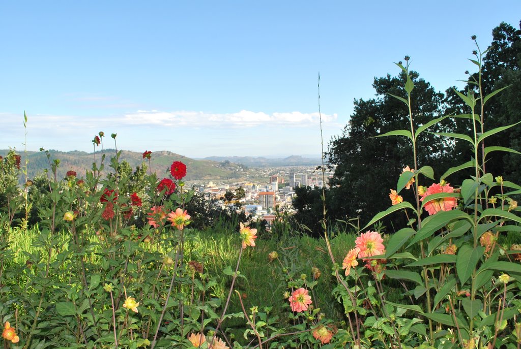 Vista hacia Temuco by trumao