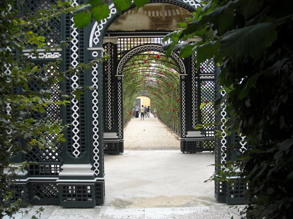 Schlosspark Schönbrunn 3 by planola