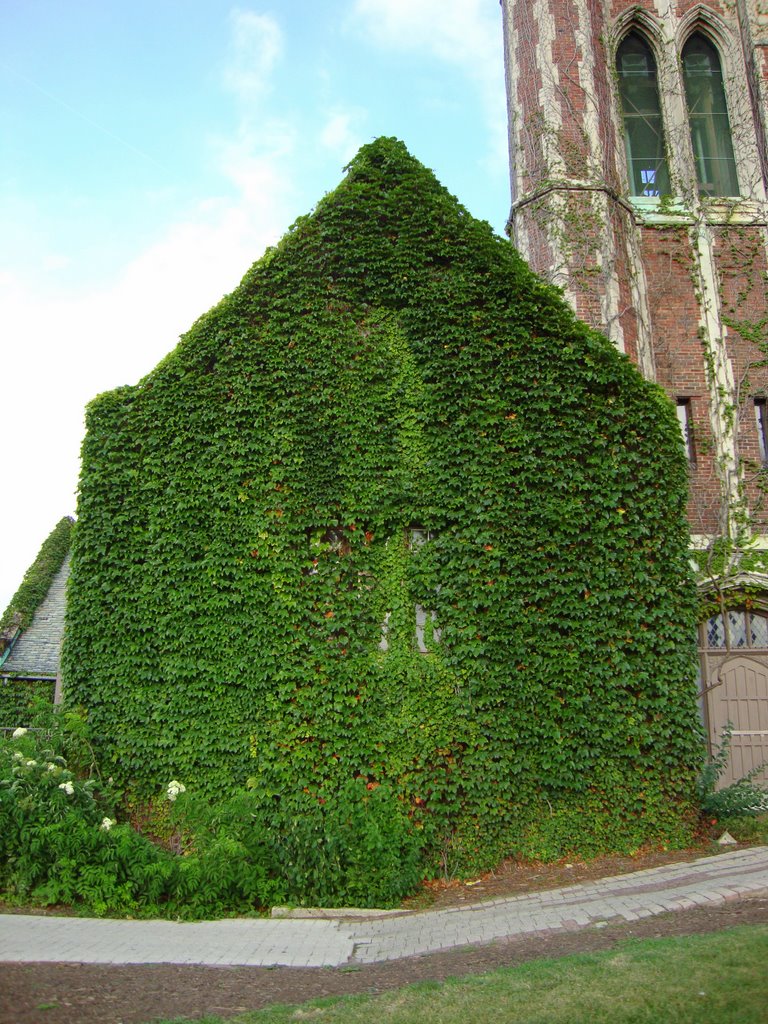 Lincoln Park, Vine's on building. Sheridan & Lake Shore Drive by A. Williams