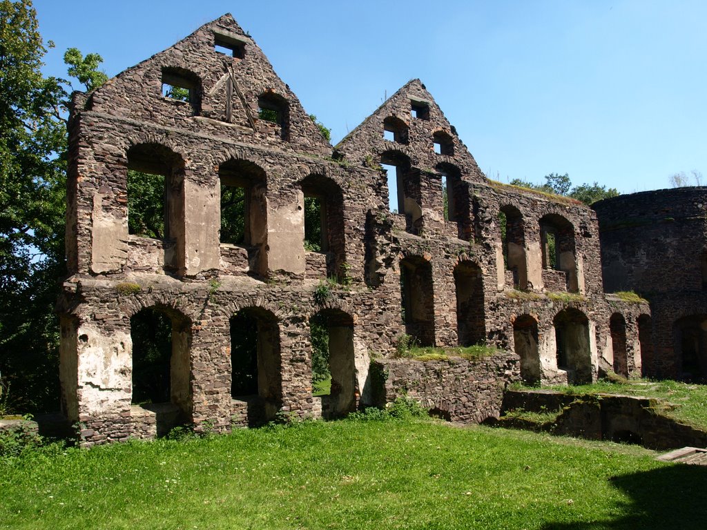 Zamek świny | schweinhausburg by t.przechlewski