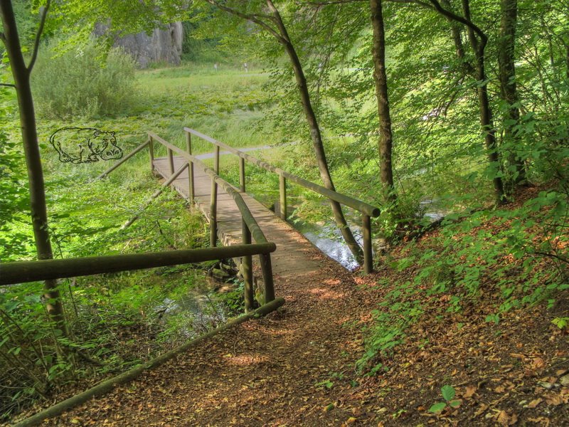 Brücke über die Trubach by Frank Zander