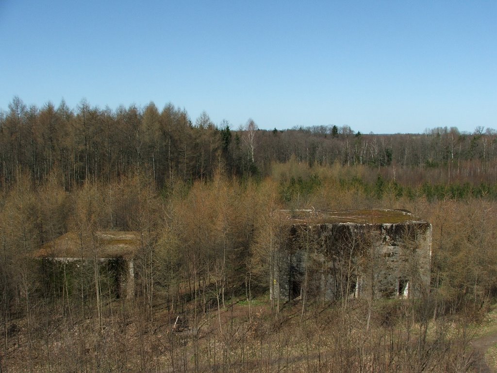 Mamerki - Bunkry - The view from the tower by Krzysztof Klimkowski