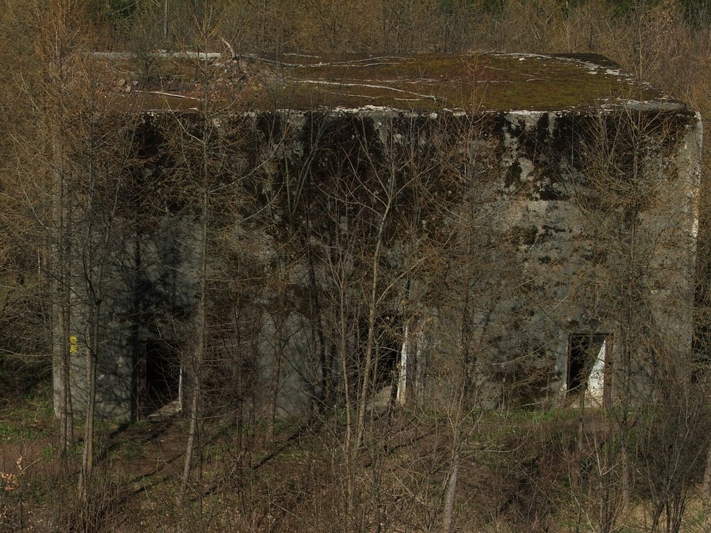 Mamerki - Bunkry - The view from the tower by Krzysztof Klimkowski