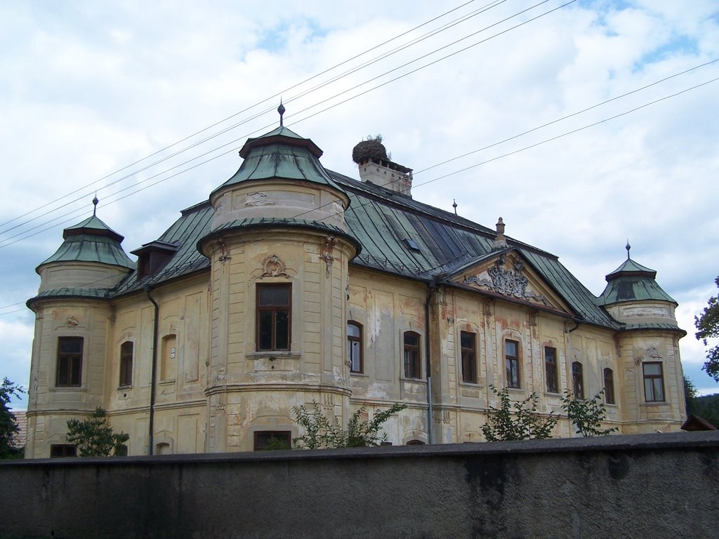 Hronsek - chateau of the Géczy family by Bibiana Papp